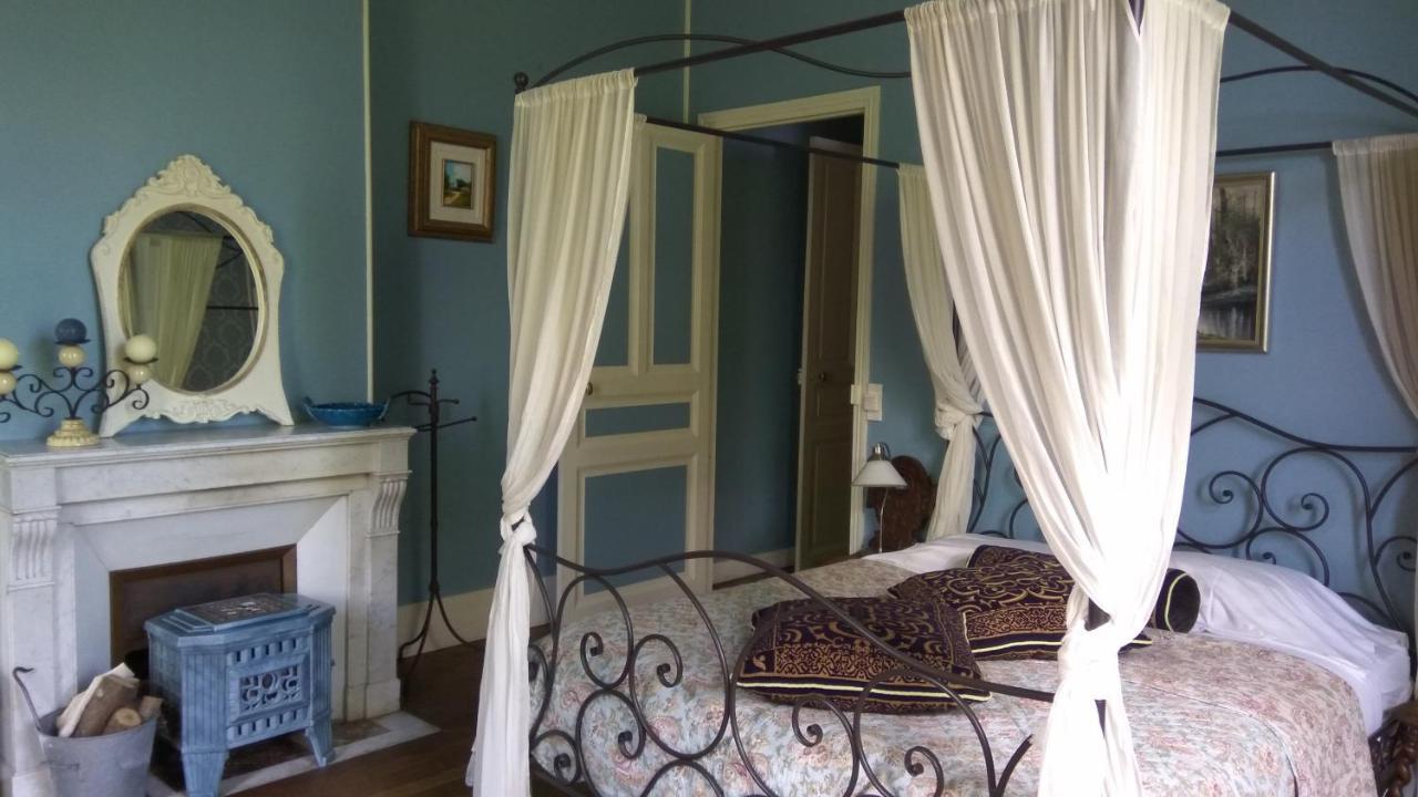 Chambres D'Hotes-Chateau Constant ベシーヌ・シュル・ガルトンプ エクステリア 写真