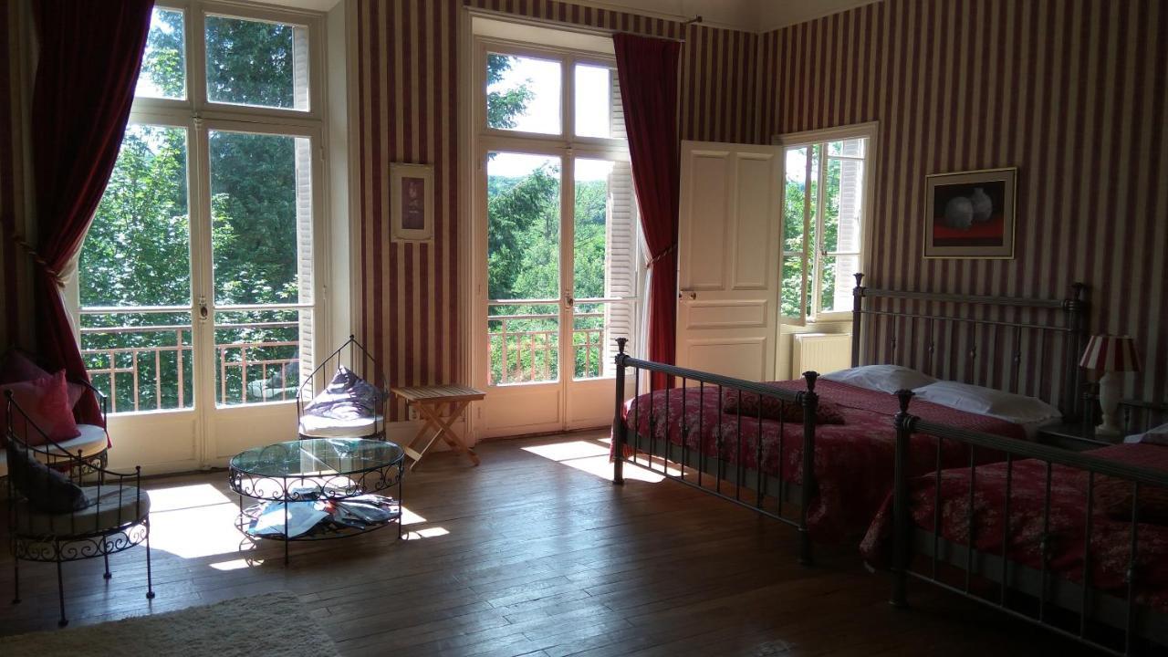 Chambres D'Hotes-Chateau Constant ベシーヌ・シュル・ガルトンプ エクステリア 写真