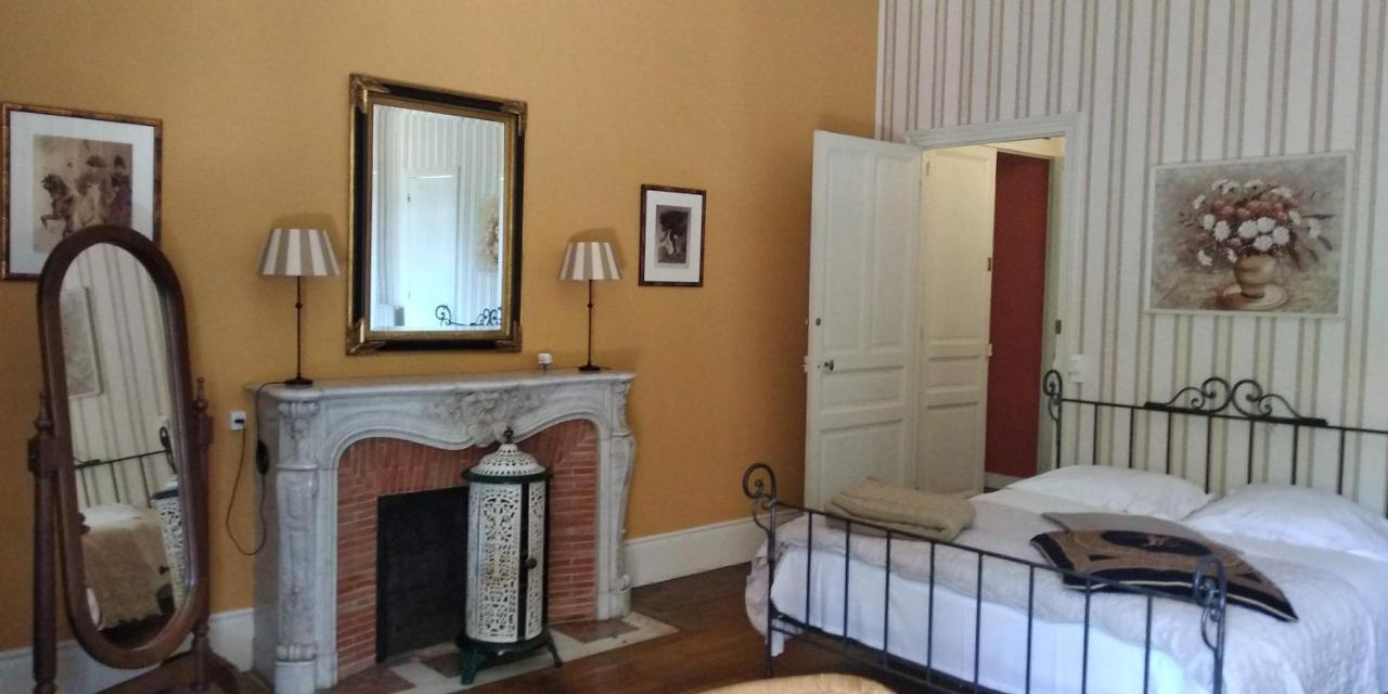 Chambres D'Hotes-Chateau Constant ベシーヌ・シュル・ガルトンプ エクステリア 写真