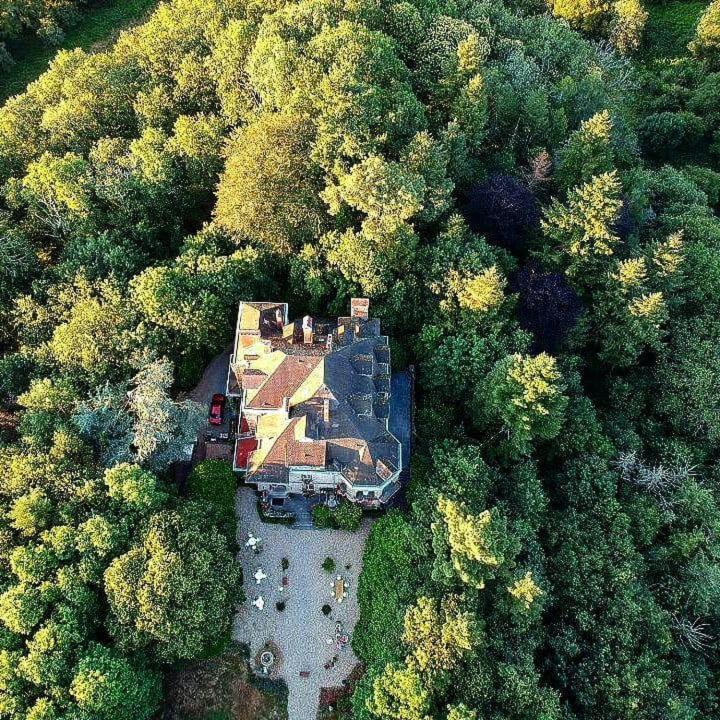 Chambres D'Hotes-Chateau Constant ベシーヌ・シュル・ガルトンプ エクステリア 写真