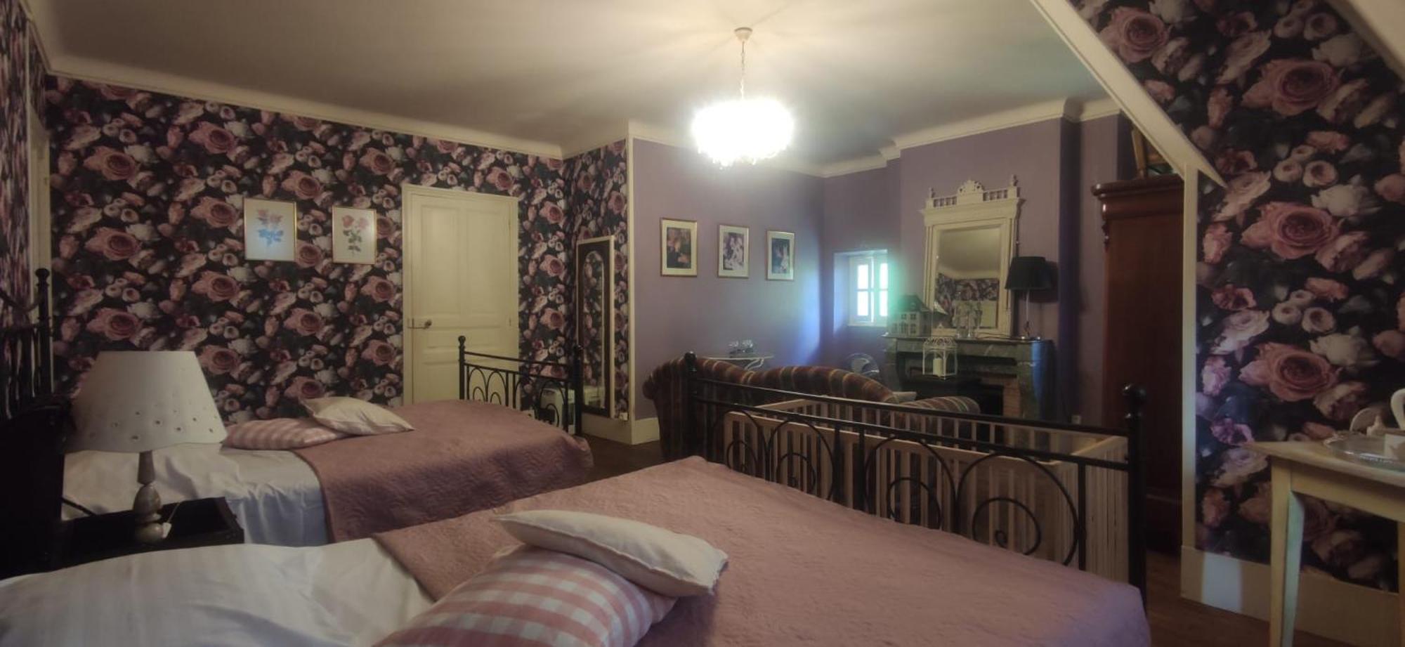 Chambres D'Hotes-Chateau Constant ベシーヌ・シュル・ガルトンプ エクステリア 写真