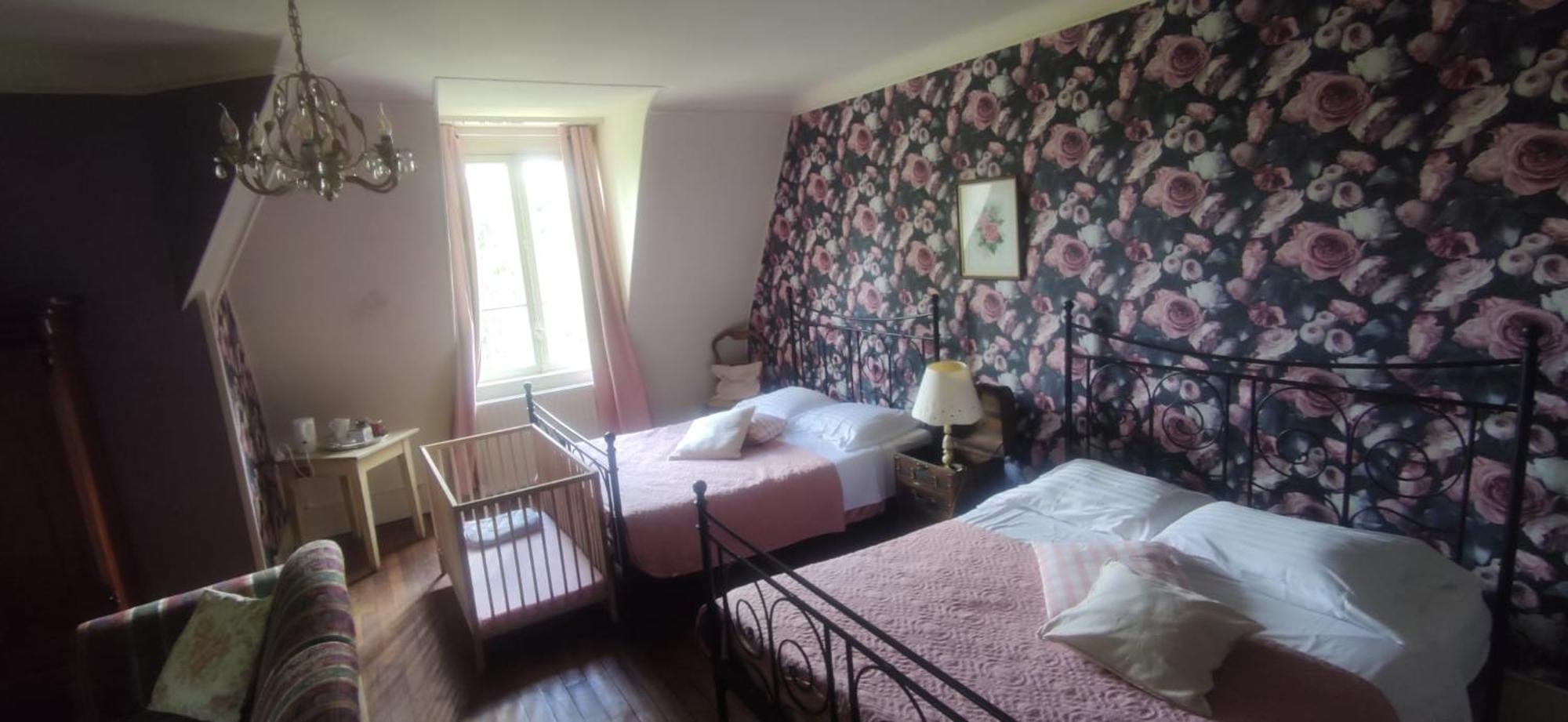 Chambres D'Hotes-Chateau Constant ベシーヌ・シュル・ガルトンプ エクステリア 写真